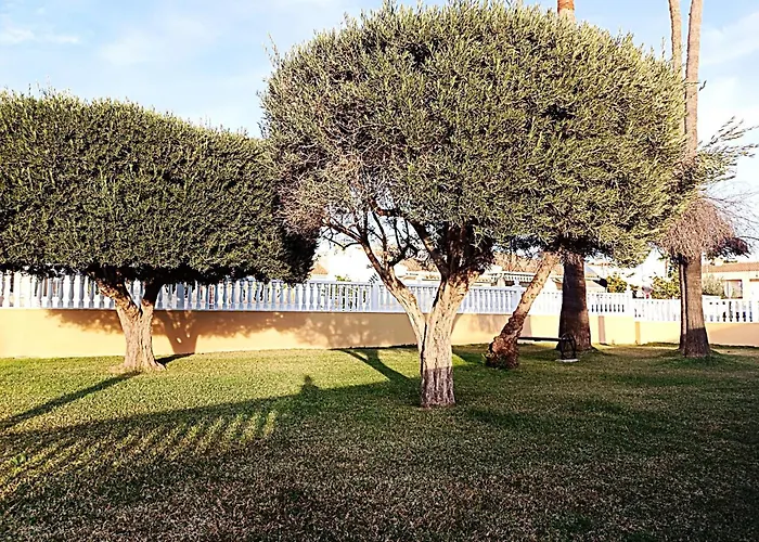 Holiday home Near The In Torrevieja, Aguas Nuevas Torrevieja